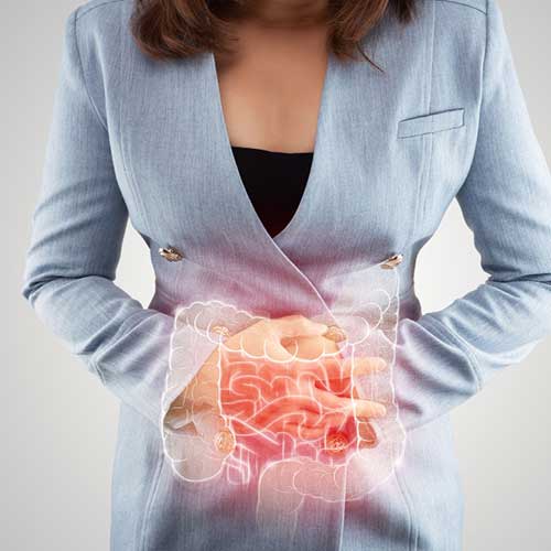 Fermenti-digestione-intestino