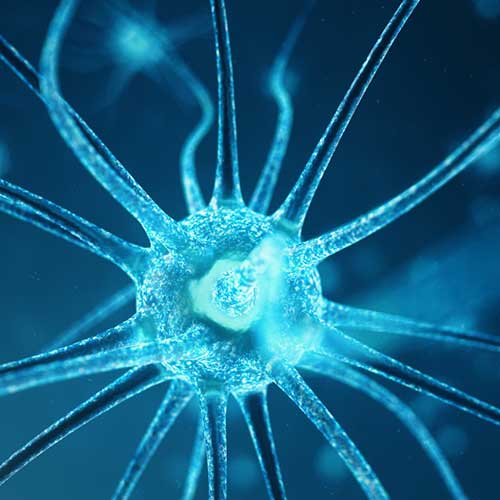 Umore--antistress--sonno